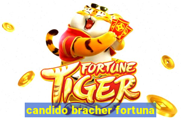 candido bracher fortuna